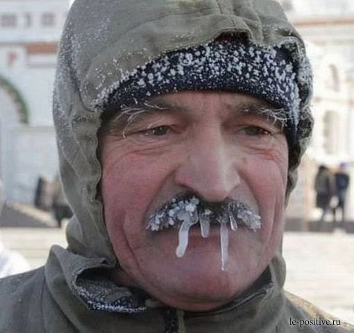 экопластиковые трубы