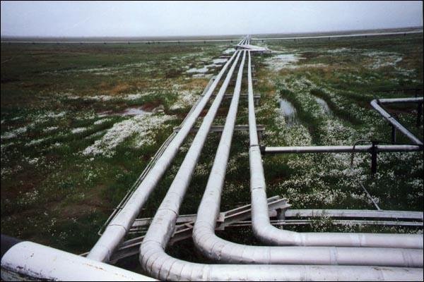 расчет площади поверхности трубы