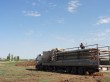 Для загрузки в автотранспорт, трубы изготавливаются по 11,75 метров.